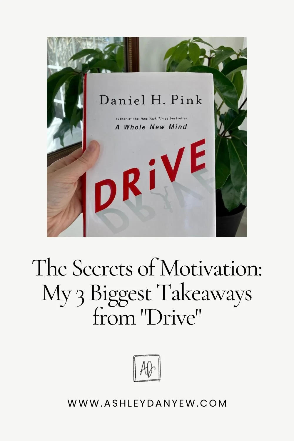 The Secrets of Motivation: My 3 Biggest Takeaways from Daniel H